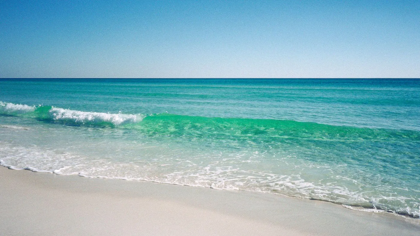 The Beach